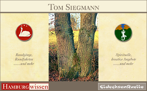 Bild der Referenz: Tom Siegmann - Kreativtrainer